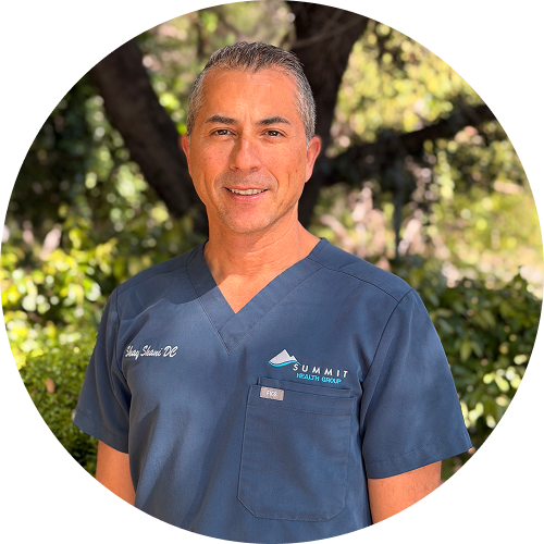 Dr. Shay Shani